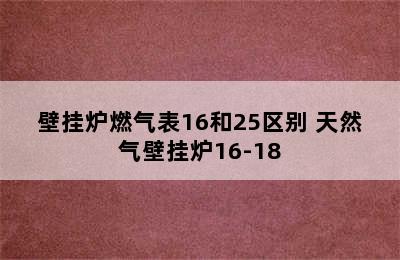 壁挂炉燃气表16和25区别 天然气壁挂炉16-18